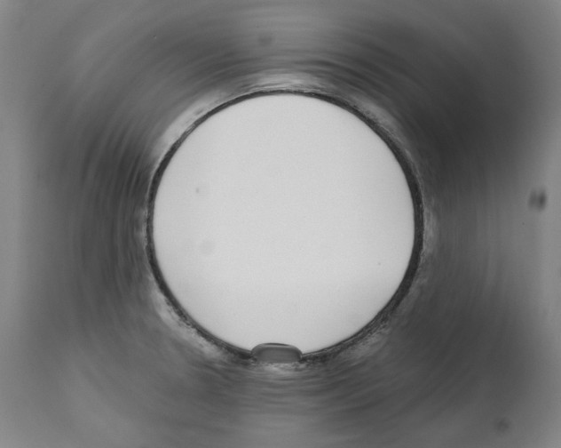 X0000112361330200909241117