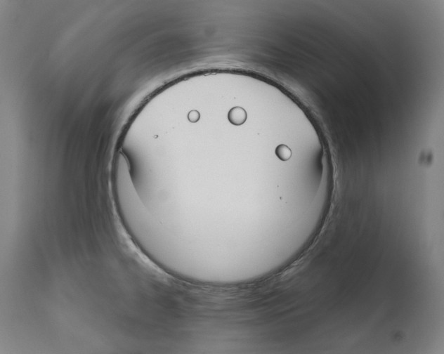 X0000112361334200909241117