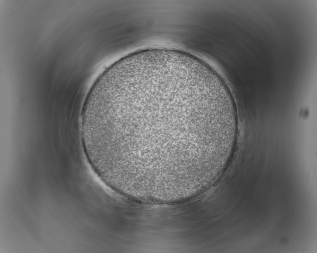 X0000112361335200909241117