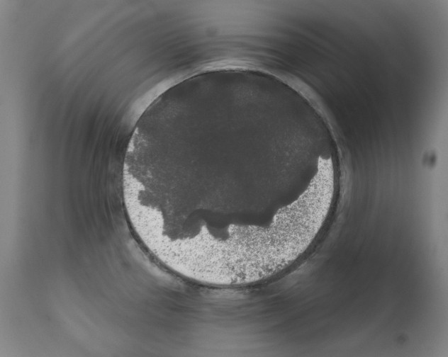 X0000112361337200909241117