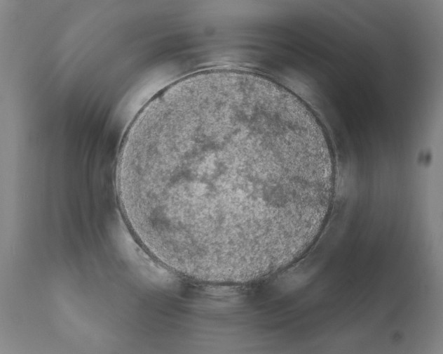X0000112361338200909241117