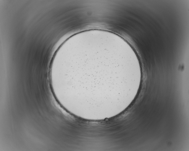 X0000112361339200909241117