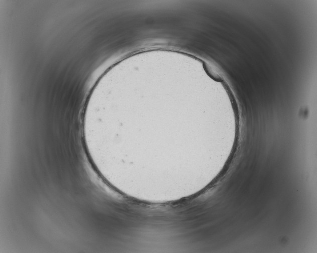 X0000112361341200909241117