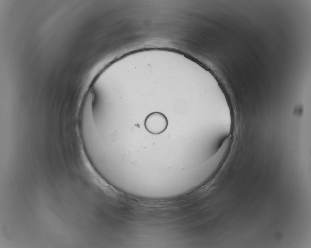 X0000112361342200909241117