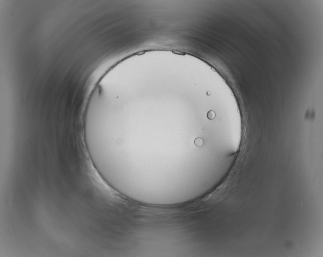 X0000112361344200909241117