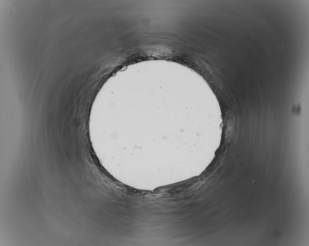 X0000112361345200909241116