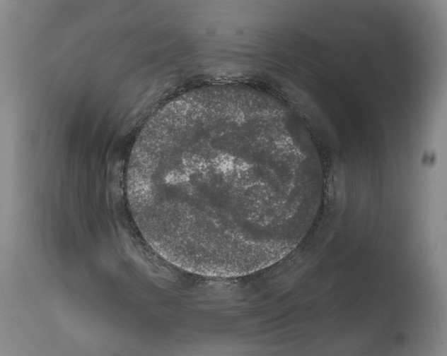 X0000112361346200909241116