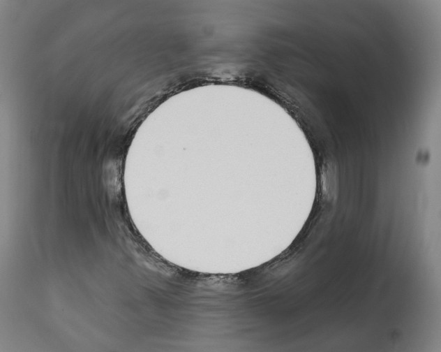 X0000112361347200909241116