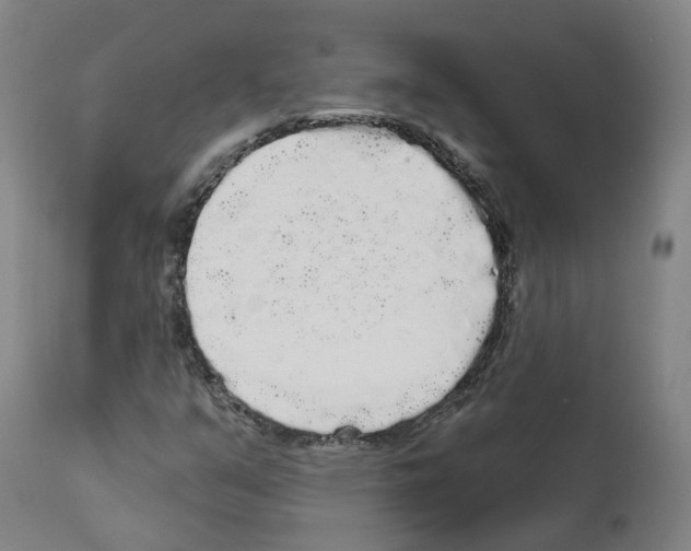 X0000112361351200909241116