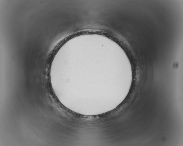 X0000112361352200909241116