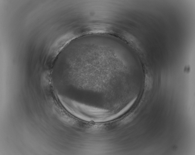 X0000112361353200909241116
