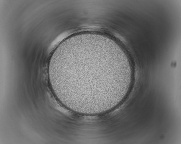 X0000112361354200909241116