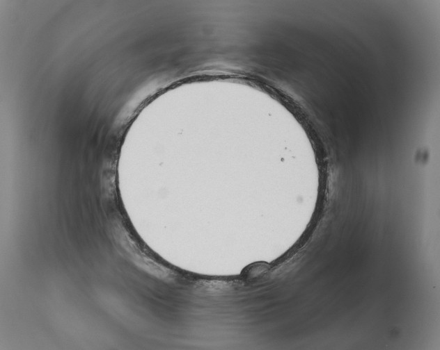 X0000112361355200909241116