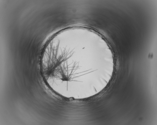 X0000112361356200909241116