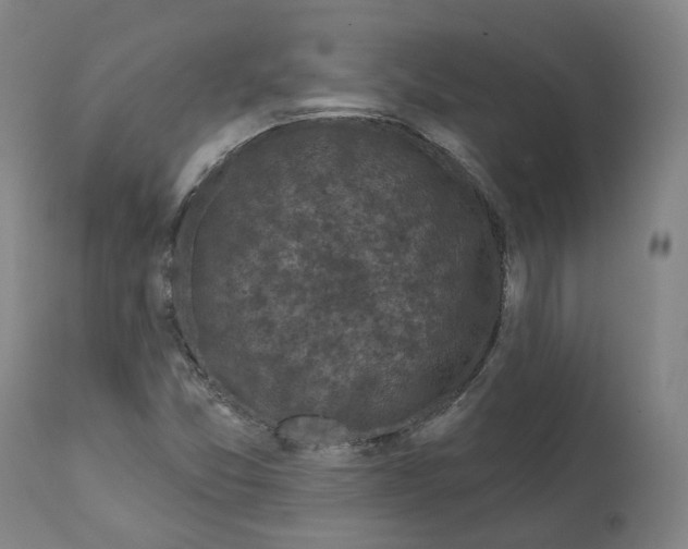 X0000112361357200909241116