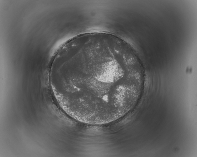 X0000112361358200909241116