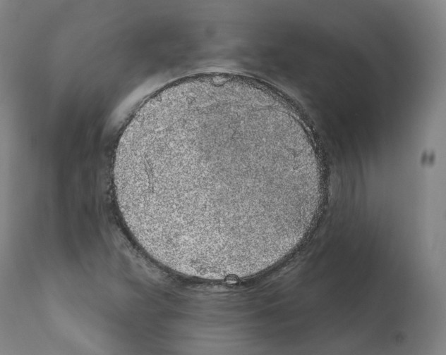 X0000112361359200909241116