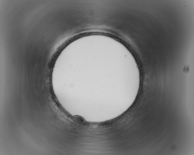 X0000112361360200909241116