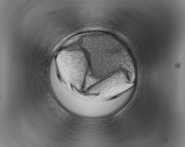 X0000112361361200909241116