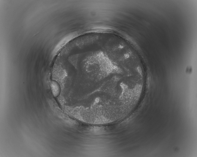 X0000112361362200909241116