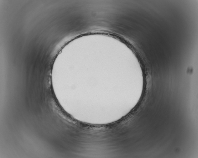 X0000112361363200909241115