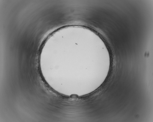 X0000112361364200909241115