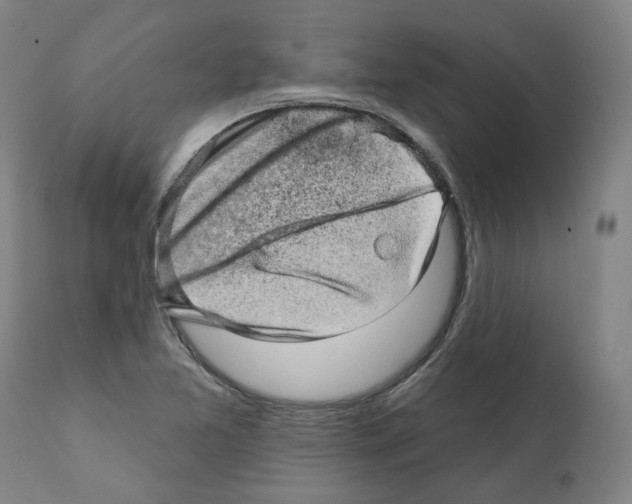 X0000112361365200909241115
