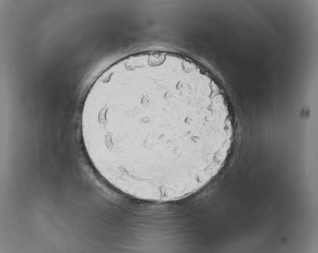 X0000112361367200909241115