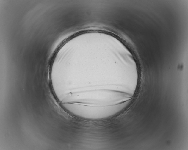 X0000112361368200909241115