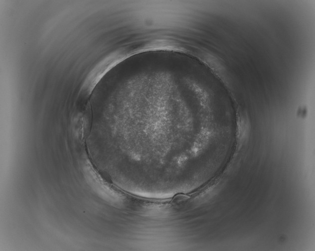X0000112361369200909241115