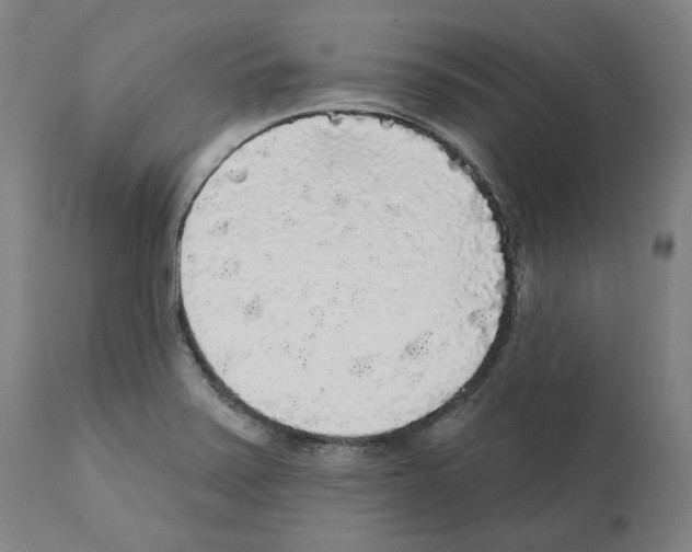 X0000112361371200909241115
