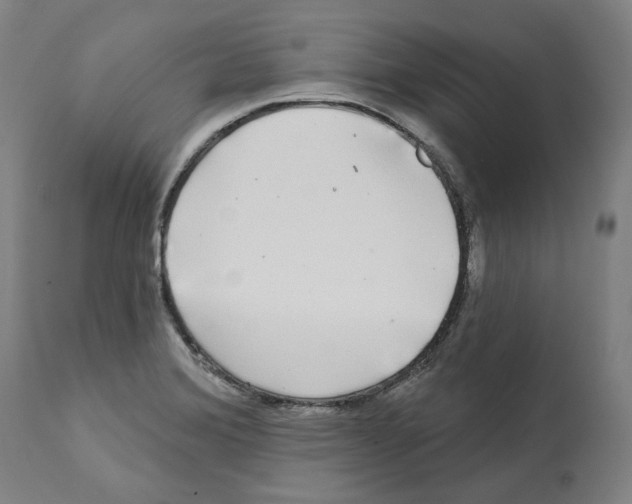 X0000112361372200909241115