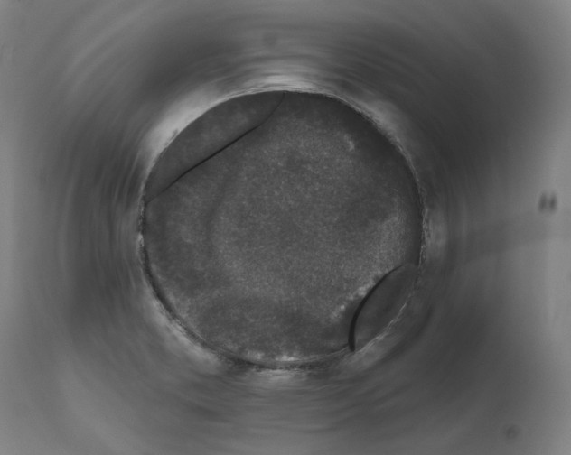 X0000112361373200909241115