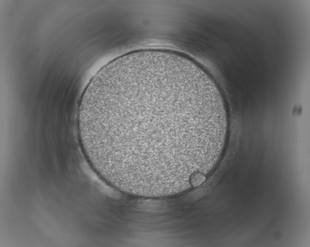 X0000112361374200909241115