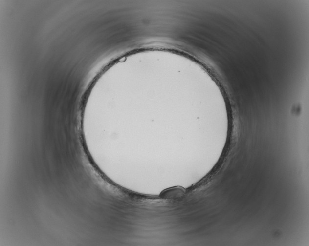 X0000112361376200909241115