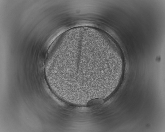 X0000112361377200909241115