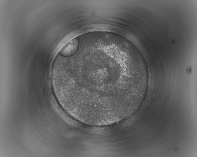 X0000112361378200909241115
