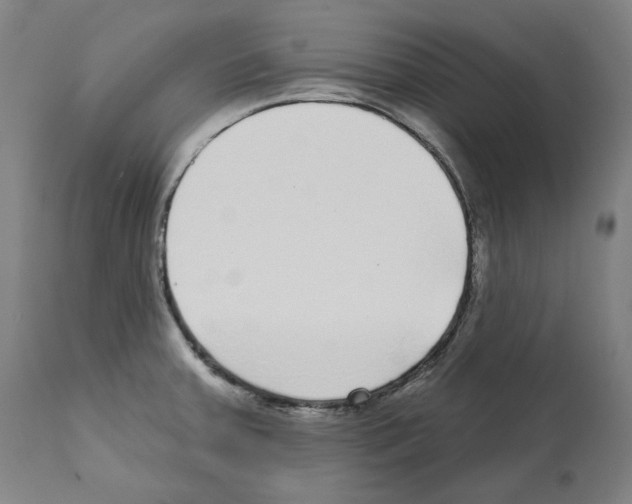 X0000112361379200909241115