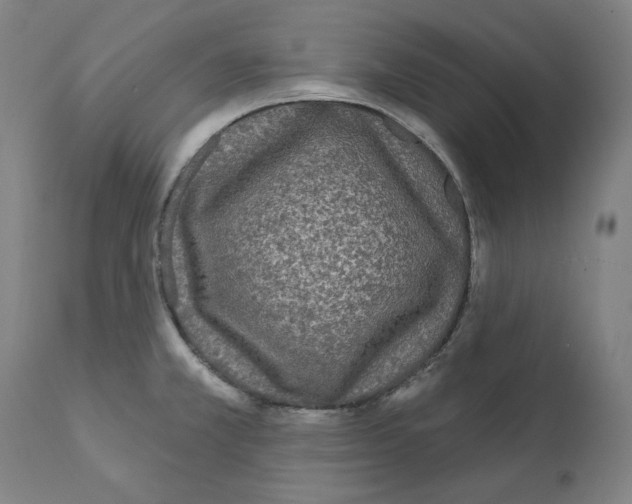 X0000112361381200909241115