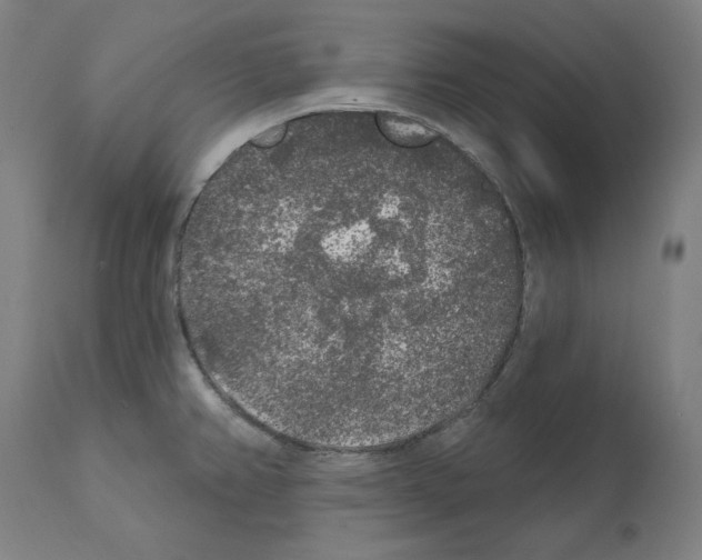 X0000112361382200909241115
