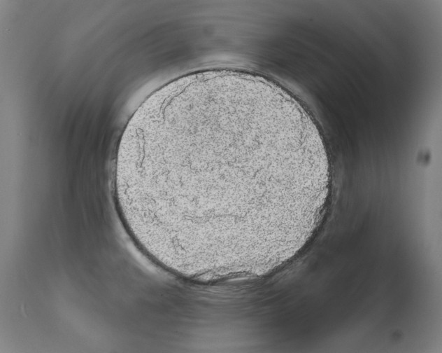 X0000112361383200909241115