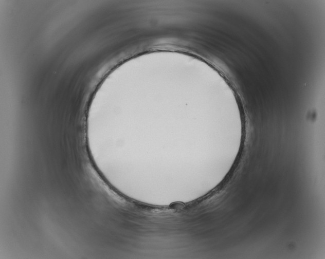 X0000112361384200909241115