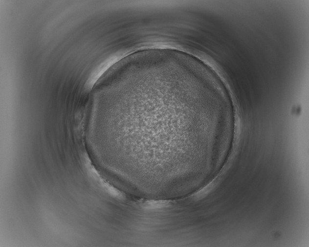 X0000112361385200909241115