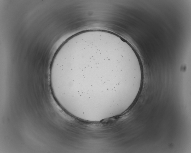 X0000112361388200909241115