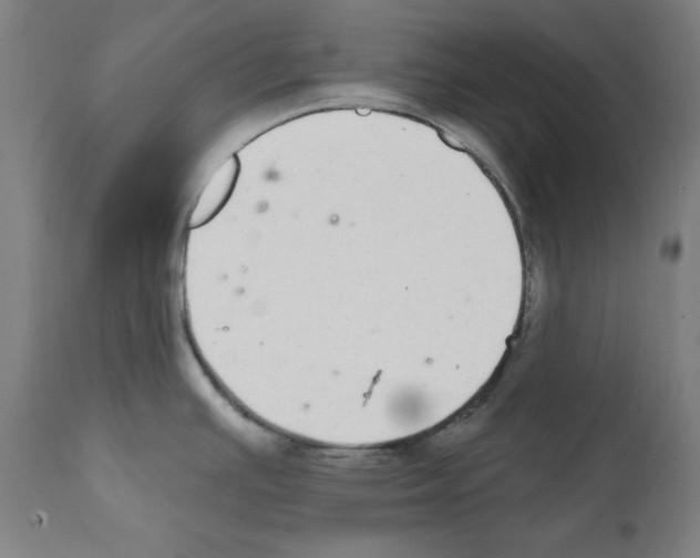 X0000112361391200909241115