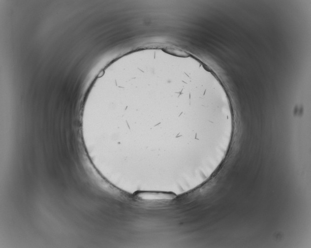X0000112361392200909241115
