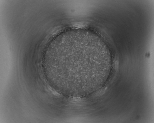 X0000112361393200909241114