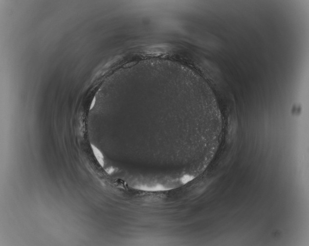 X0000112361394200909241114