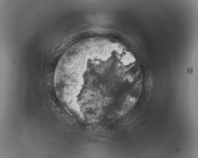 X0000112361397200909241114