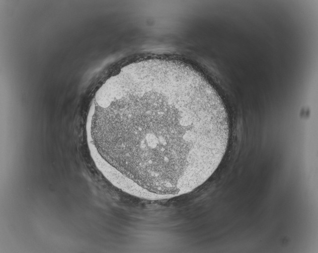 X0000112361398200909241114